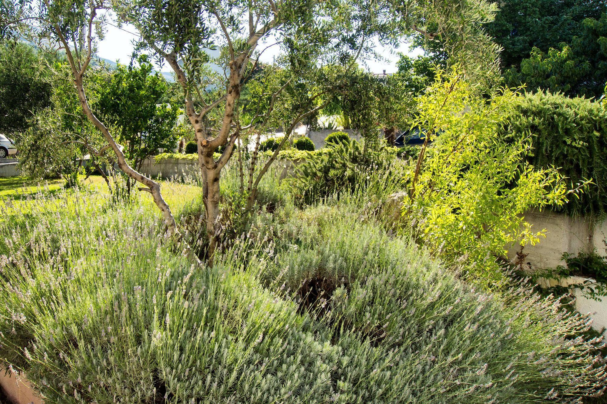 Villa Lavanda Podstrana Kültér fotó