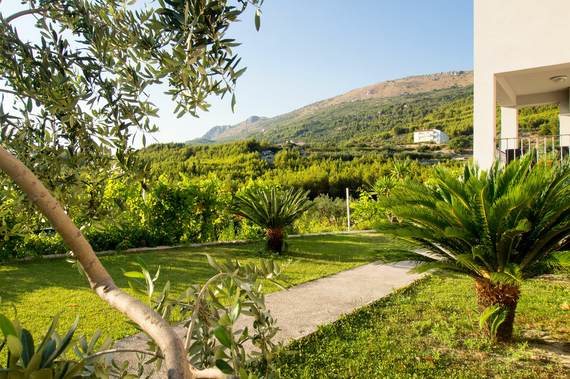 Villa Lavanda Podstrana Kültér fotó